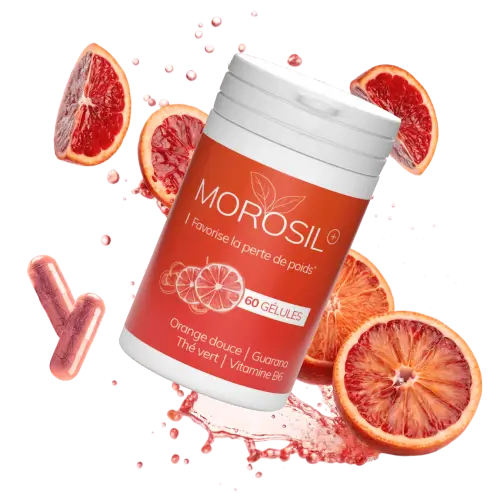Morosil+ France